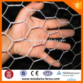 Green PVC Coated hexagonal wire mesh (Manufacturer)